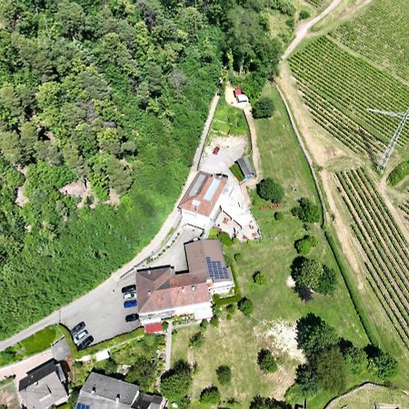 Hotel Berghof Albersweiler Luaran gambar